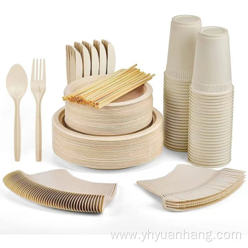 eco friendly disposable plates